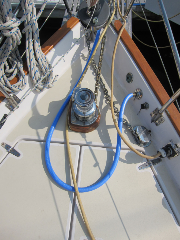 Sofia-Rey-Windlass